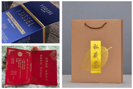 PRY-95 Automatische warmtestampmachine met servo 6