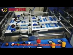Automatische Elektrische Plastic Thermische de Film van Lamineringsbopp het Lamineren Machinesw Reeks