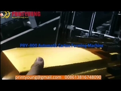 Koevoet-800 Document Karton die Fruitvakje oprichten die Machine met Servomotor vormen